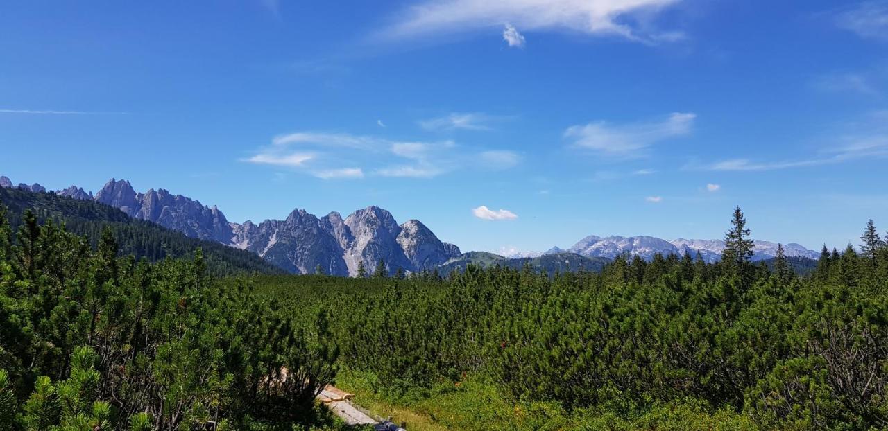 Kalvarienberg Appartement Gosau Luaran gambar